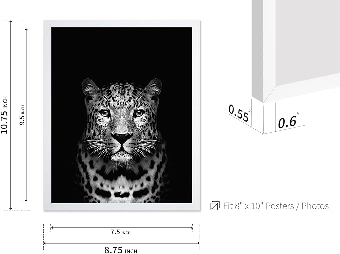 Poster Master Vintage Photograph Poster
