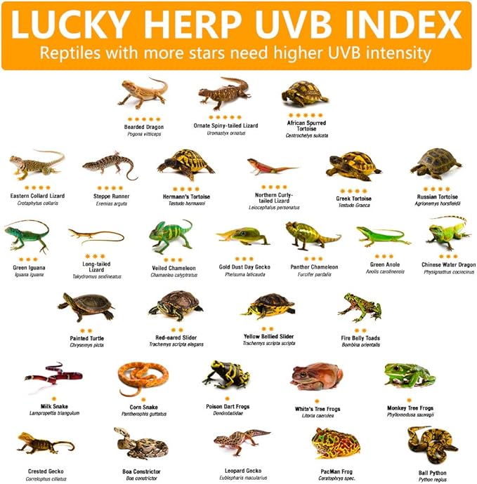 LUCKY HERP 125 Watt UVA+UVB Vapor Heat Lamp Bulb, High Intensity Self-Ballasted Heat Basking Lamp/Bulb/Light for Reptile and Amphibian, Sun Lamp for Bearded Dragon Lizard Turtle
