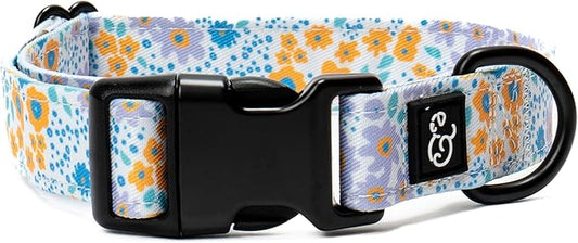Lucy & Co. Among The Wildflowers Dog Collar - Durable Lightweight Designer Collar for Pets - Adjustable Metal Safety Buckle - Purple Floral - Small