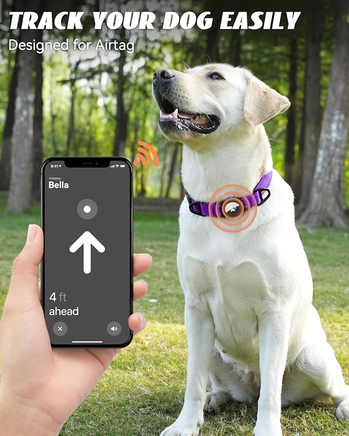 Joytale Airtag Dog Collar, Reflective Pet Collar with Waterproof AirTag Holder, Dual D-Rings, Soft Padded Adjustable for Medium Dogs, Purple, M