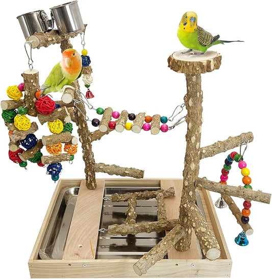 PINVNBY Bird Playground Natural Wood Parrot Perch Stand Bird Play Gym Colorful Ladder Swing Chewing Toys with Metal Tray and 2 Stainless Steel Cups Cage Accessories for Conure Cockatiel Parakeet