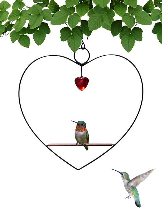 Songbird Essentials Hummingbird Swing - Tweet Heart Birdie Swing - Black Metal Hummingbird Perch