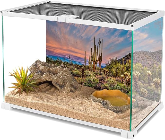 AWERT 48x18 inches Terrarium Background Blue Sky Cloud Huge Cactus Oasis Gobi Reptile Habitat Background Vinyl