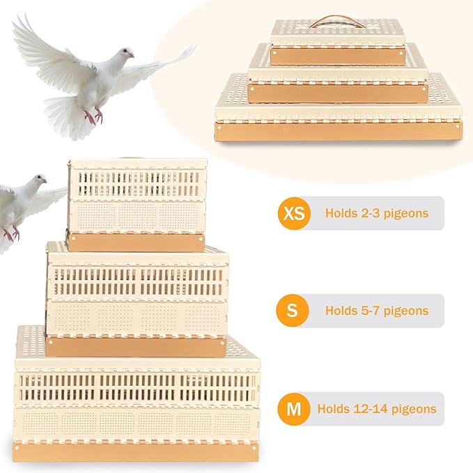 Folding Pigeon Cage Racing Pigeons Travel Cage Pairing Cage Plastic Two Doors Nest Box for Training and Release, Competition(S)