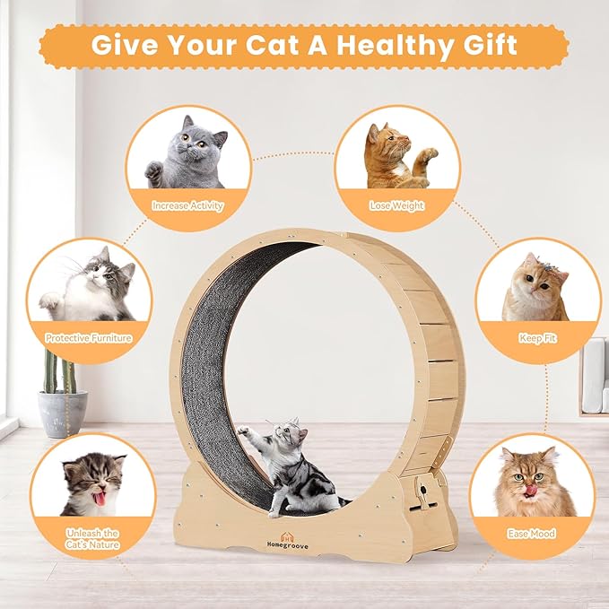Homegroove 35.4 Inch Cat Exercise Wheels for Indoor Cats, Versatile Cat Toy Running Wheel Treadmill with Detachable Carpet for Weight Loss and Health, Natural Wood Color(M)