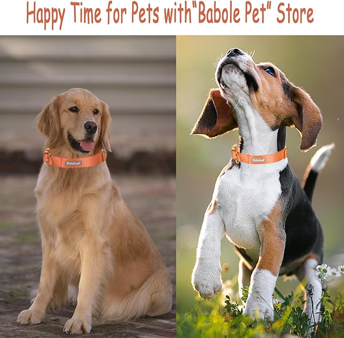 Nylon Dog Collar - Adjustable Orange Soft Webbing Dog Collars for Small Medium Large Dogs Boy Girl Puppy Collar with Safety Metal Buckle L
