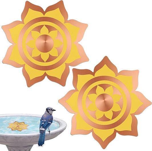 Saillong 2 Pack Bird Bath Copper Disk, Reinforced 99.99% Pure Copper Bird Bath Purification Disk for Physical Clean Water, Birdbaths Cleaner for Outdoor Birdbaths, Bowl and Garden Fountain (Petal)