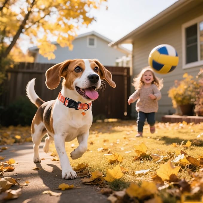 Fall Dog Collar Cute Orange Plaid Puppy Collar - Light Comfortable Adjustable Pet Collars for Small Medium Large Girl Boy Dogs S