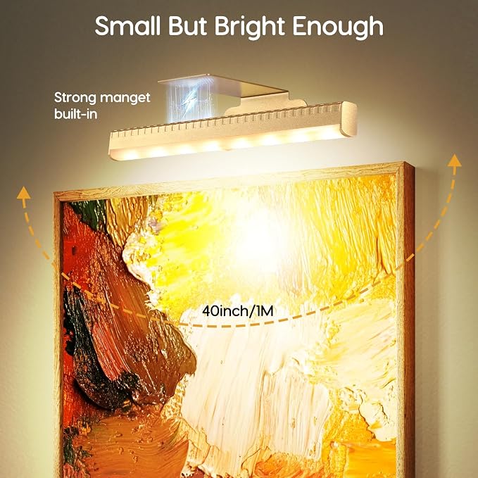2Pcs Picture Light for Wall Dimmable, Remote Painting Light