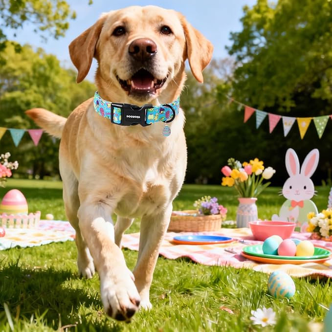 DOGWONG Easter Dog Collar, Cute Easter Egg Pet Collar Durable Holiday Girl Boy Adjustable Cotton Dog Collars with Quick Release Buckle for Puppy Small Medium Dogs,M Visit the Elegant little tail Store