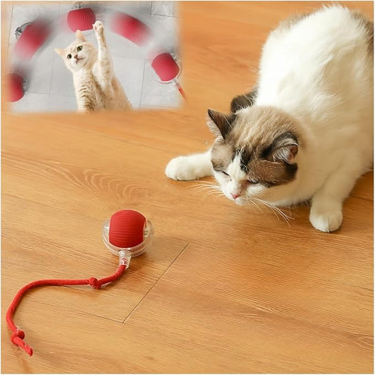 Interactive Cat Toys for Indoor Cats, Agility Move Cat Balls,Motion Activated Cat Balls, Cat Toys for Bored Indoor Cats（Red）