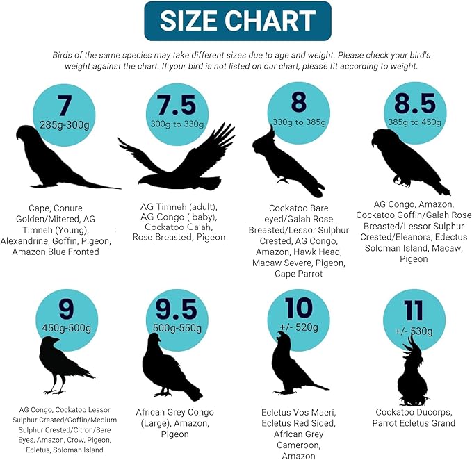 Bev's Bird Boutique Regular Flyper Adjustable Bird Diaper | Reusable, Washable Cloth | Comfort Fit for Parrot, Cockatiels, & Other Small Birds | Fashionable Avian Accessories, Navy & Red, Size 9