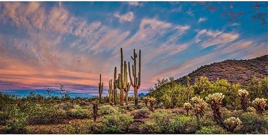 AWERT 48x24 inches Terrarium Background Blue Sky Cloud Huge Cactus Oasis Gobi Reptile Habitat Background Vinyl