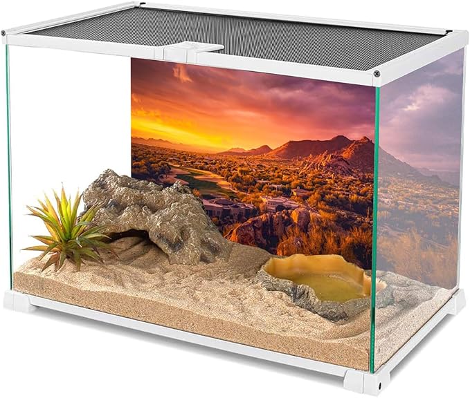 AWERT 48x24 inches Sun and Desert Terrarium Background Mountain Oasis Gobi Reptile Habitat Background Vinyl