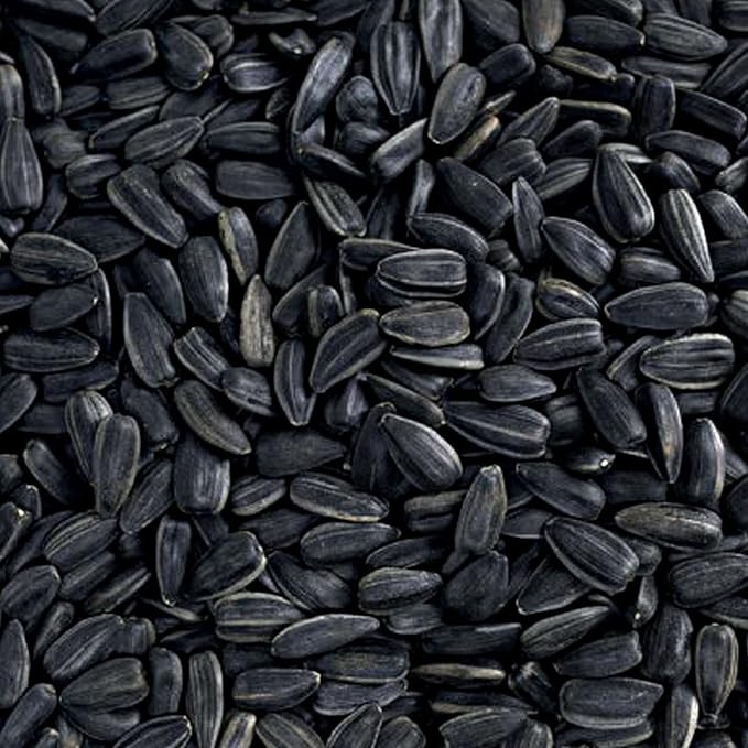 Nyjer Seed & Sunflower Seeds Wild Bird Food Combo - 5 Pound Pack I No Grow Seed I Bird Food for Wild Birds