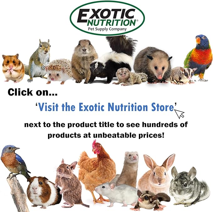 Exotic Nutrition Veggie Blend - Healthy Natural Mixed Dried Vegetable Treat - Sweet Potatoes, Carrots, Peas - for Degus, Chinchillas, Sugar Gliders, Hedgehogs, Guinea Pigs & Small Pets… (3 Pound)
