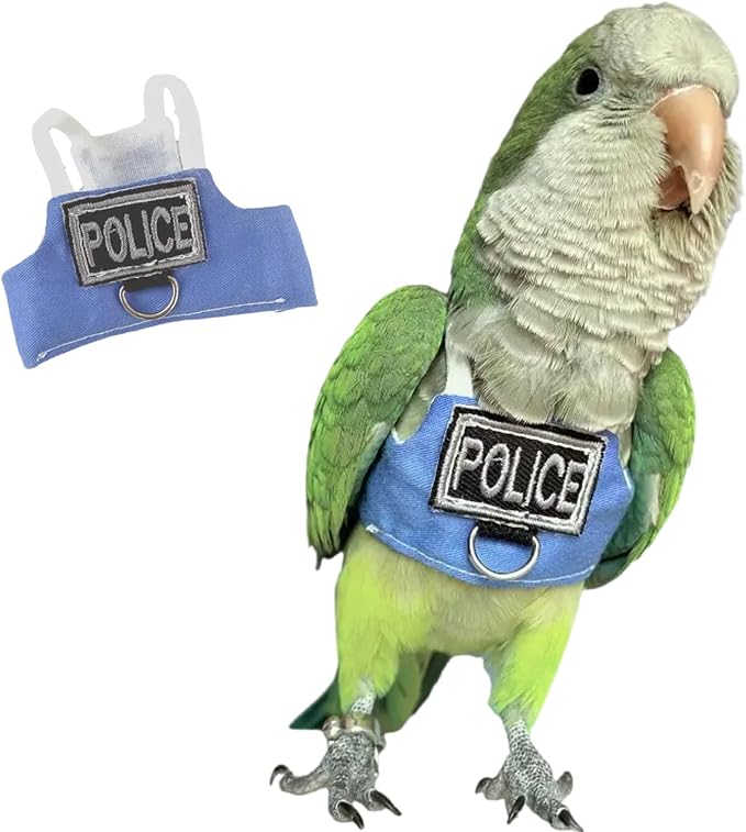 Bird Flight Harness Vest, Parrot Flight Suit with Leash, Bird Flying Clothes with Rope and Handle for Outdoor Activities (Without Leash,Crested Myna)