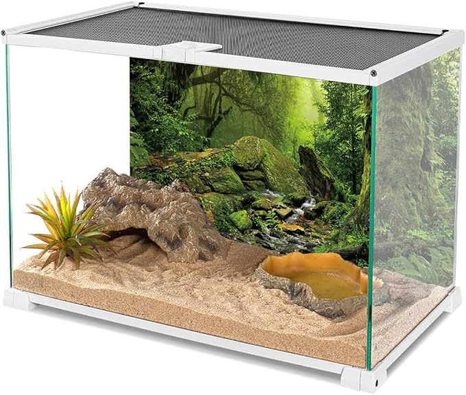 AWERT Tropical Forest Terrarium Background Stream Green Huge Tree Reptile Habitat Background Foggy Rainforest Aquarium Background 36x24 inches Durable Polyester Background