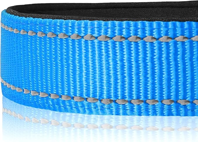 Joytale Reflective Dog Collar, Soft Neoprene Padded, Metal D-Ring, Nylon Pet Collar Adjustable for Medium Dogs, Sky Blue, M