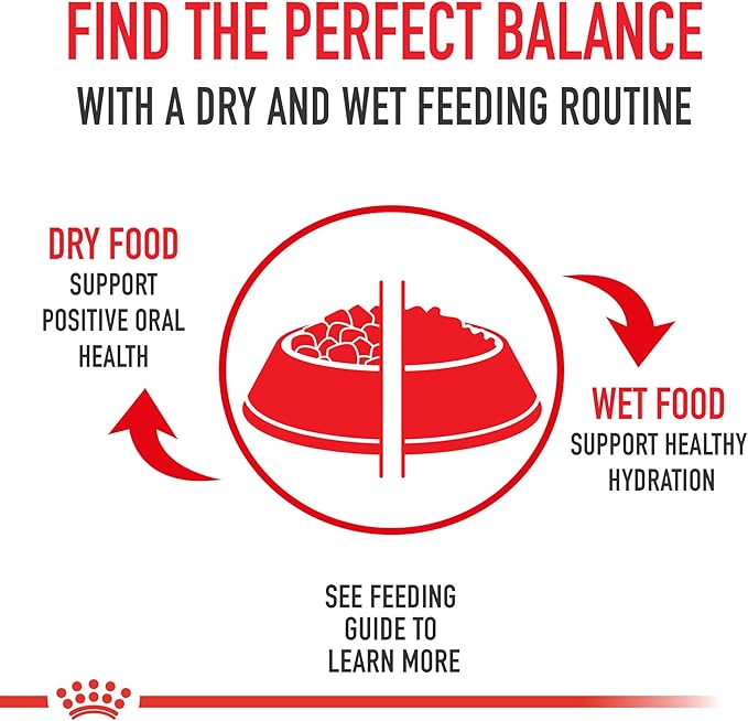 Royal Canin Feline Health Nutrition Kitten Loaf in Sauce Canned Cat Food, 3 oz can (Pack of 24)