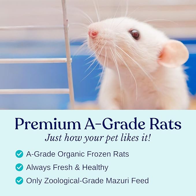 MiceDirect EST. 2003 150 Frozen Mice Large Adult Feeders Snake Food for Adult Ball Pythons Juvenile Red Tail Boas Monitors (3-3.25 in) (3900 Grams Min)
