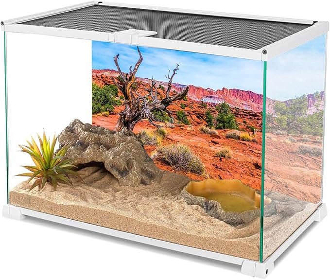 AWERT 72x16 inches Reptile Habitat Background Blue Sky Oasis Orange Desert Terrarium Background Durable Polyester Background