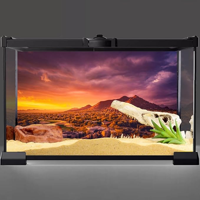 AWERT 30x18 inches Sun and Desert Terrarium Background Mountain Oasis Gobi Reptile Habitat Background Vinyl