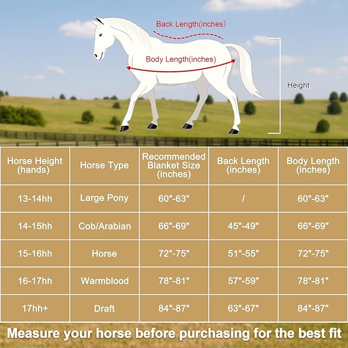 Horse Fleece Cooler, Blanket Liner - 300g Anti-Pilling Fleece, Moisture-Wicking, Cooling & Drying for Post-Workout, Bath & Travel, Prevent Overheating & Chilling Mintgreen 81
