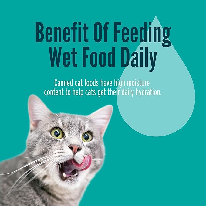 A Strong Heart Canned Wet Cat Food, Turkey & Cheese Dinner in Gravy - 5.5 oz Cans (Pack of 24), Made in The USA with Real Turkey