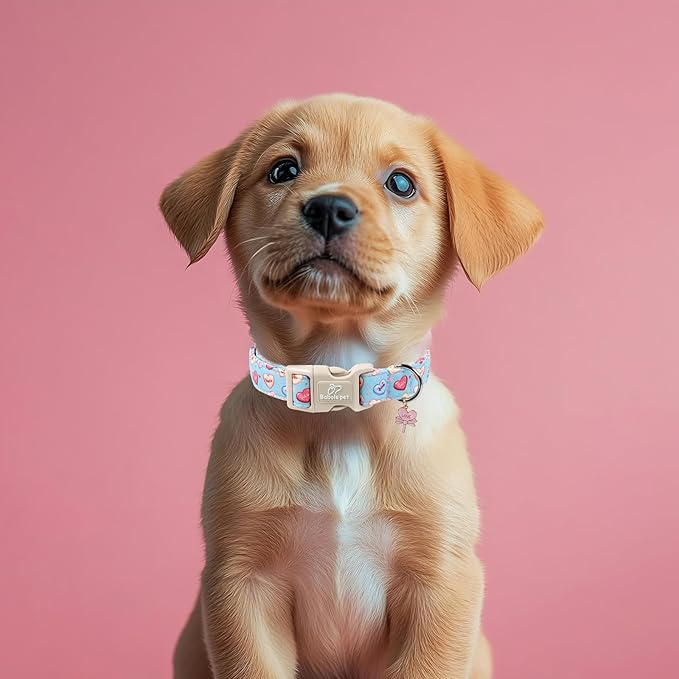 Valentines Dog Collar for Large Dogs - Valentine Candy Hearts Dog Collars, Love Boy Girl Dogs Collars, Lightweight Adjustable Cute Blue Puppy Collar with Quick-Release Buckle XL