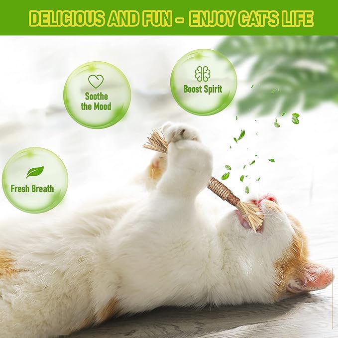 BAWAN Catnip Toys‖ Silvervine for Cats: Cute Cat & Kitten Toys for Indoor Cats Interactive‖ Cat & Kitten Teething Chew Toys for Aggressive Chewers‖ Silvervine Sticks Cat Dental Toy (1PCS)