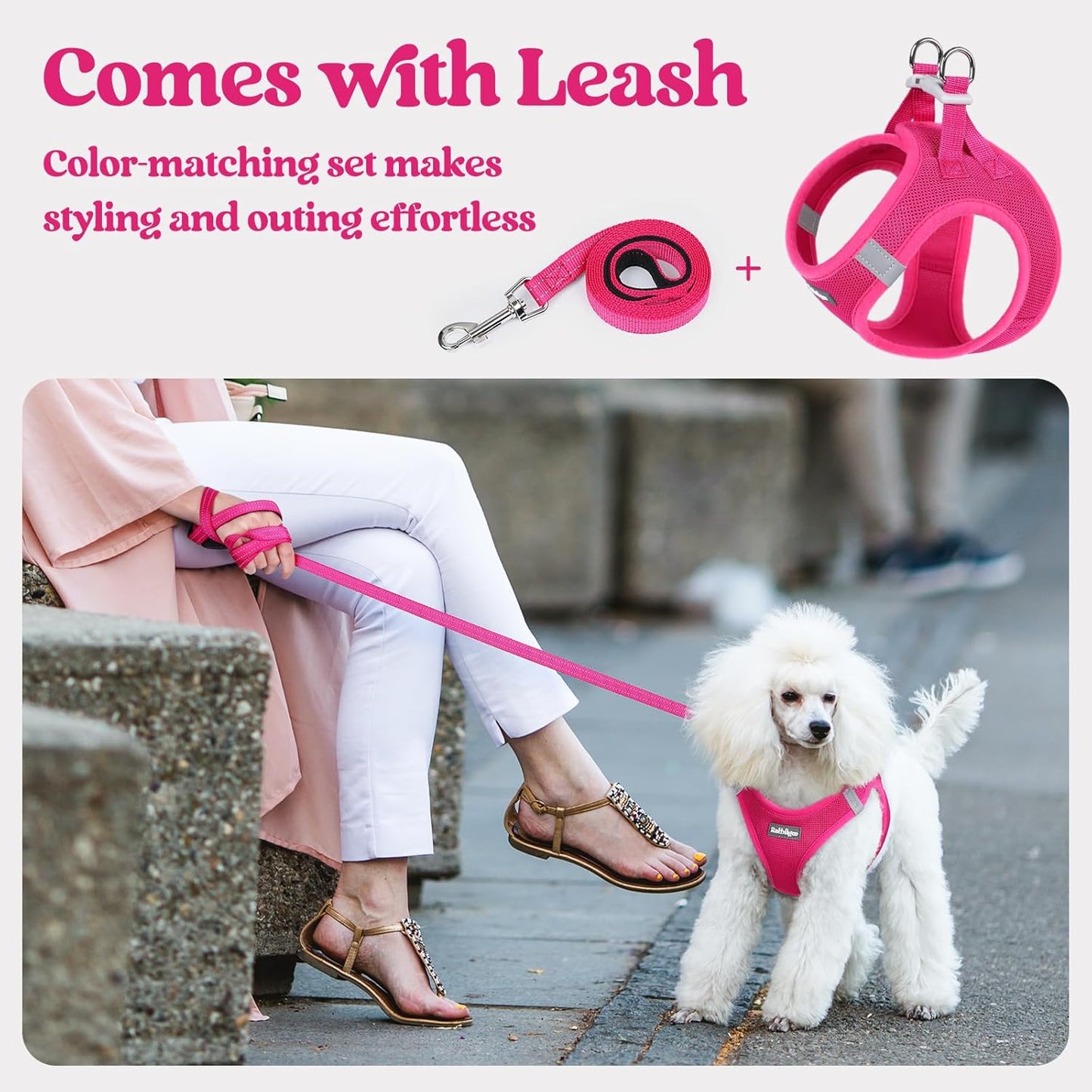rabbitgoo Dog Harness Small Sized and Leash Set, Step in Soft Light Puppy Vest, Breathable Mesh Pet Harness, Reflective for Safe Easy Walking, Rose Red XS
