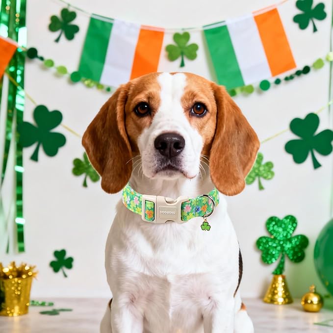 DOGWONG St. Patrick Dog Collar, Comfortable Adjustable Green Clover Pattern Dog Collar for Meidum Large Male Female Dogs,M