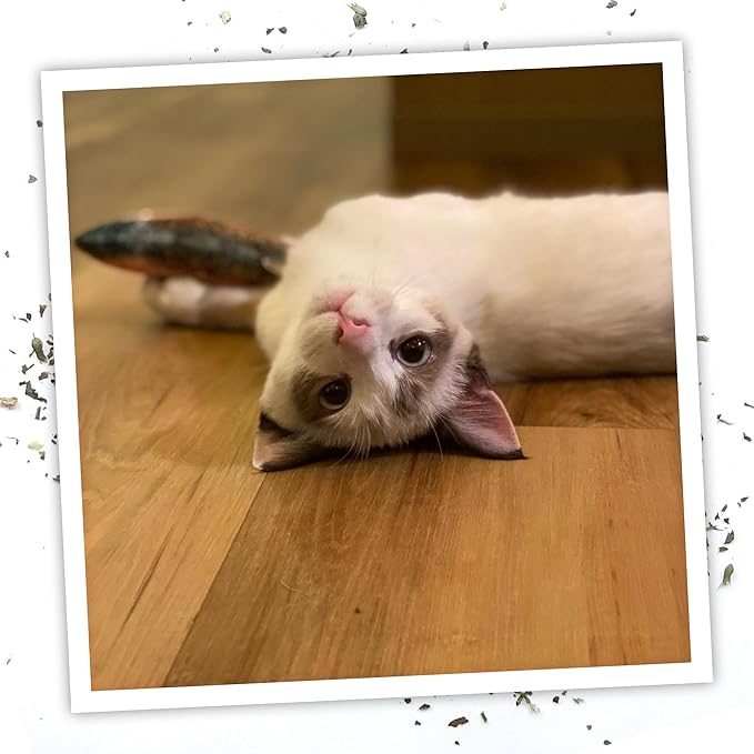 Meowijuana Clawsome Bundle | Get Smoked Refillable Trout Toy and Paw Natural OG Catnip Blend | Promotes Play and Cat Health | Includes North American Organic Catnip