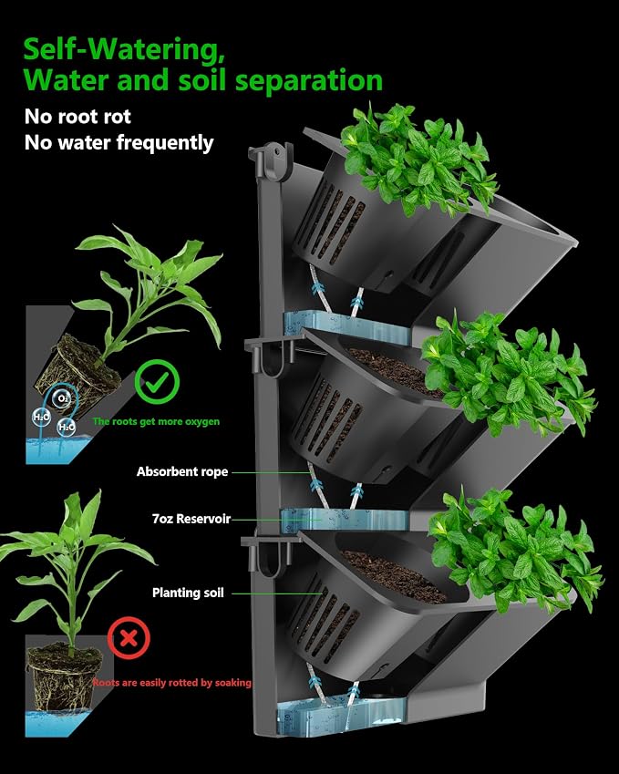 Wall Planters for Indoor Plants