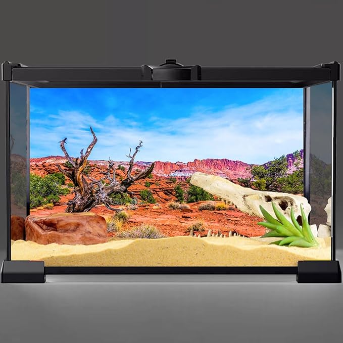 AWERT 72x16 inches Reptile Habitat Background Blue Sky Oasis Orange Desert Terrarium Background Durable Polyester Background