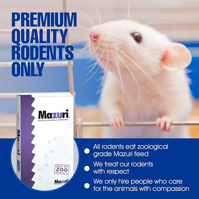 MiceDirect EST. 2003 25 Frozen Mice Weanling Feeders Snake Food for Juvenile Red Tail Boas Ball Python Adult Milk Snakes Corn Sand Boa (2-2.5 in) (325 Grams Min)