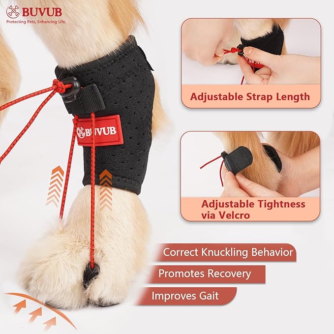 Dog Canine Knuckling Brace Rear Leg Dog Foot Brace Wrap for Toe Dragging Cause by Sciatic Nerve Insufficiency, Myelopathy, Herniated Disc (XLarge)