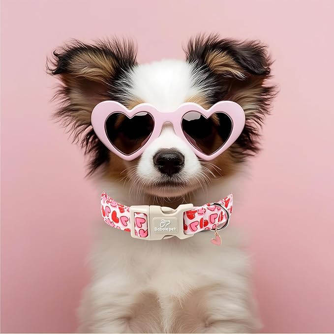 Valentines Dog Collar for Medium Dogs - Pink Valentine Hearts Dog Collars, Girly Love Female Dogs Collars, Lightweight Adjustable Cute Puppy Collar with Quick-Release Buckle M