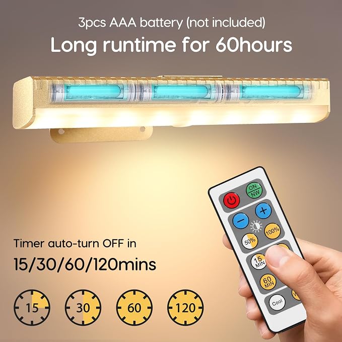 2Pcs Picture Light for Wall Dimmable, Remote Painting Light