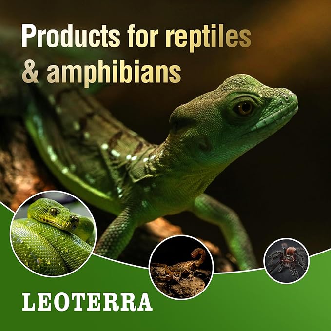 Leoterra Reptile Heat Lamp Bulbs 2PACK100w Red Night Heat Lamp Bulbs for Reptile Tank,Turtle,Bearded Dargon,Lizard,Snake,Chincken,Dog,Hedgehog Night Use Infrared Heat Lamp Bulbs,Long Lasting