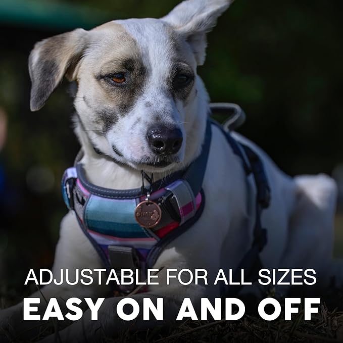 Embark Adventure Dog Harness, Reflective Trim No Pull Harness for Large Dogs - Military Grade Nylon, Front Clip with Gel Lined Handle. Soft & Padded Puppy Harnesses for Any Breed