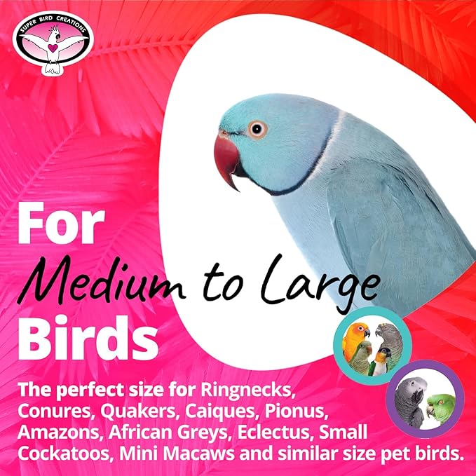 Super Bird Creations SB1192 Crocs Bird Toy - Ideal for Parrots, Ringnecks, Quakers, Small Cockatoos - Perfect for Chewing, Foraging, and Boredom Relief - Colorful Foot Toy - Medium Bird Size, 5-Pack