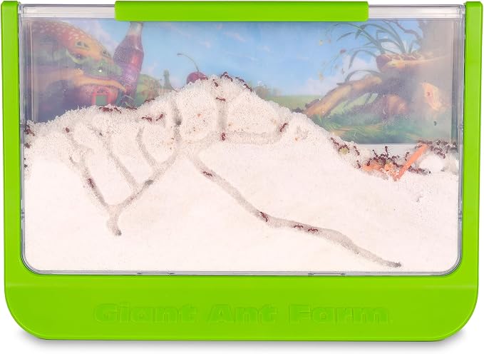 Uncle Milton Giant Ant Farm - Large Viewing Area - Care for Live Ants - Nature Learning Toy - Science DIY Toy Kit - Great Gift for Boys & Girls, Green