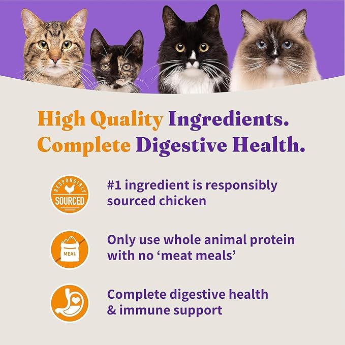 Halo Holistic Cage Free Chicken Cat Food, Healthy Grains Dry Cat Food, Complete Digestive Health, Kibble for Adult Cats, 3 lb Bag