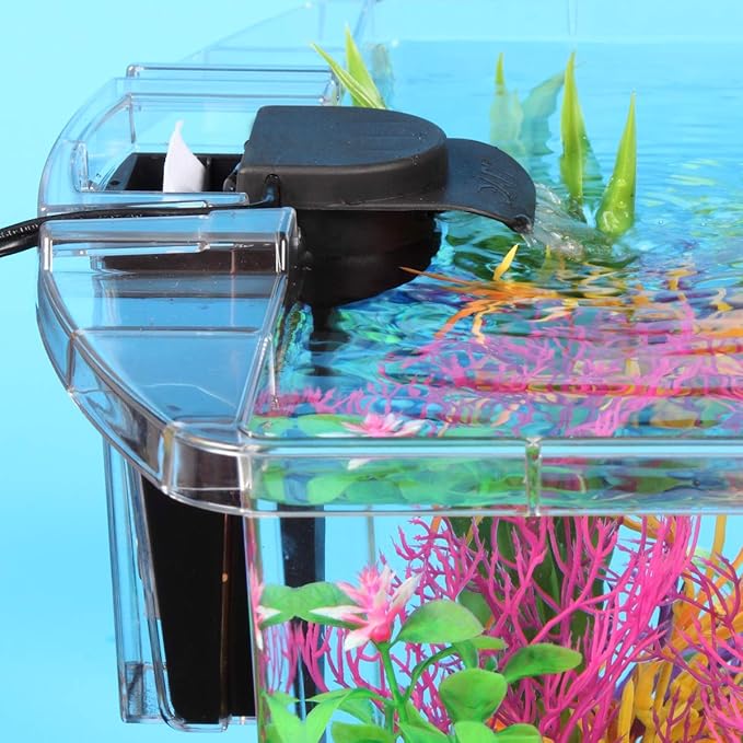 Koller Products Plastic 3-Gallon Aquarium Starter Kit with 4 Colors LED Lighting and Complete Filtration, Ideal for a Variety of Tropical Fish, Betta Fish, Tropical Fish, Cichlids, Ornamental Shrimp