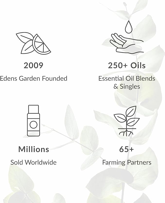 Edens Garden Energy & Focus Essential Oil Blend- 100% Pure Premium Grade, Undiluted, Natural, Therapeutic, Aromatherapy, The Best for Kid Safe, Humidifiers, Skin 30 ml (1 fl oz)