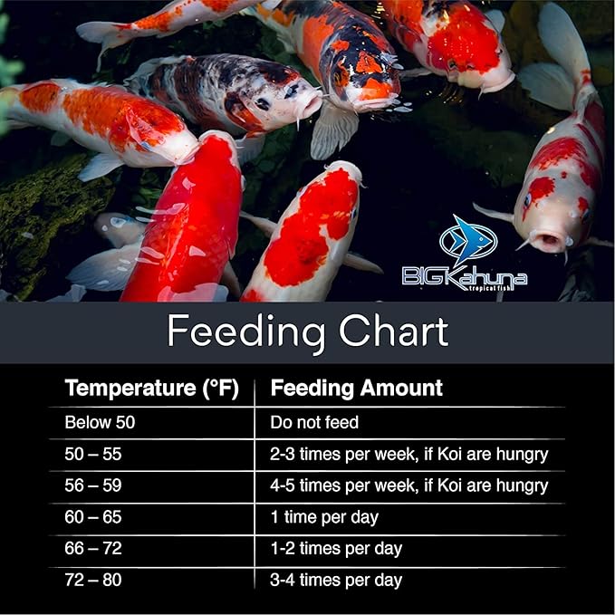 BIG Kahuna Koi Fish Food- 4.5 lbs Jug – Made in The USA - Koi Food Floating Pellets – 3/16" - 1/4" Pellet Size – 32% Protein Fish Food – Rich in Nutrients
