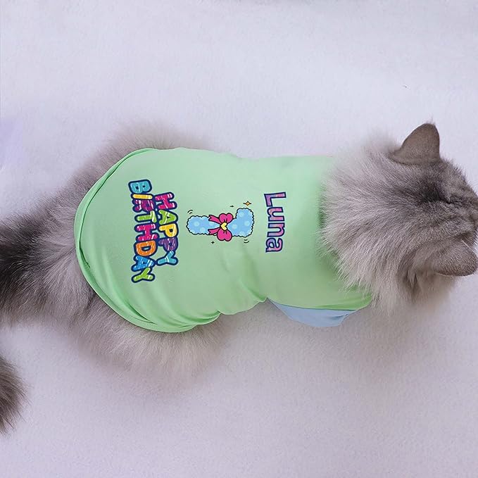 Custom Dog Birthday Shirt,Personalized Pet Apparel Print with Name Age Number,Pet Birthday Outfit,Lightweight Breathable Cotton Vest for Small Medium Large Dogs Cat (Dopamine Green, Small)