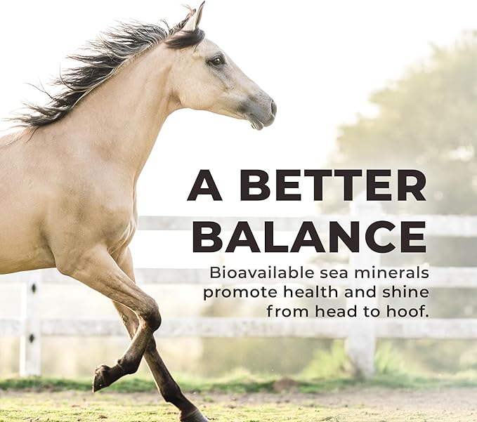 Daily RED Crushed - Mineral Supplement for Horses (5 LB Bag)